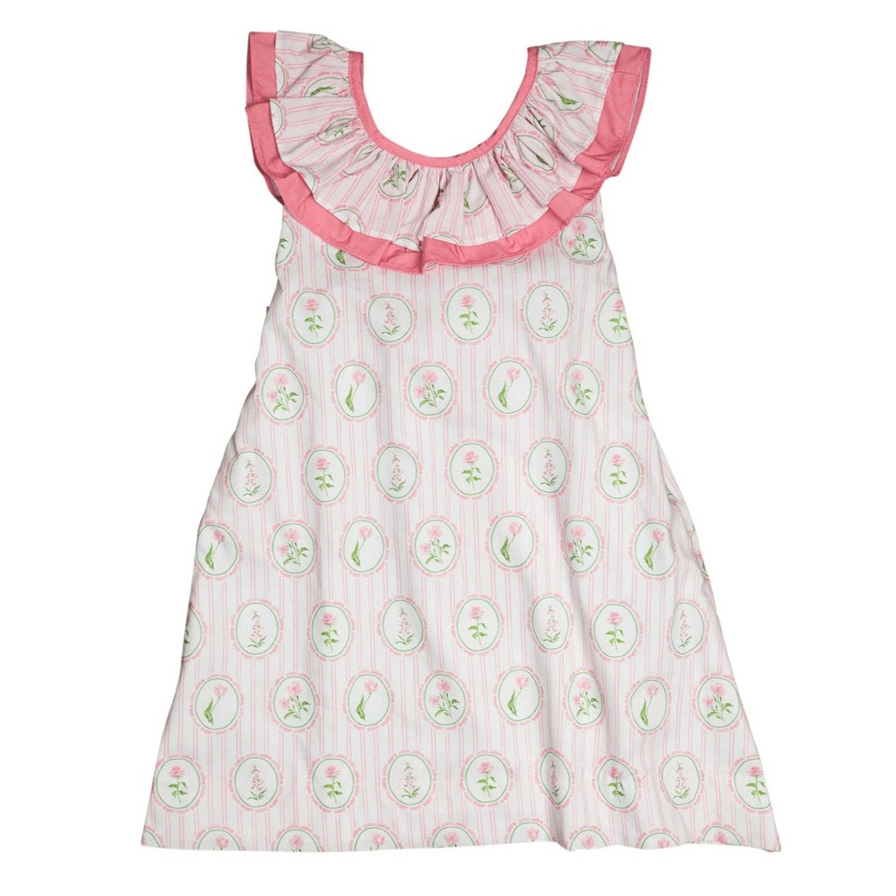 NWT Smockingbird Pink Floral Frames Josie Dress